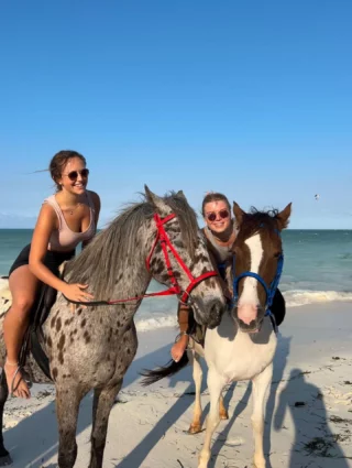 Sansibar kann beides: Tagsüber arbeitest du im Social-Care-Projekt mit Kindern, nachmittags wartet das Meer, der Strand und Zeit mit deinem Travel Buddy 🌊🌺
.
.
.
.
.
#volunteering #socialcare #travelbuddy #sansibar #wayers