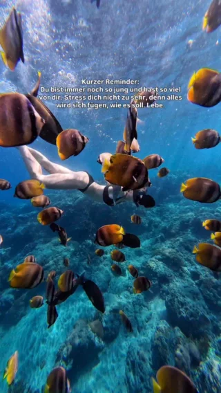 Du hast nur dieses eine Leben, also lebe es voller Abenteuer, Lachen und Momente, die dich wirklich glücklich machen 🌍 Worauf wartest du?💛

#wayers #freiwilligenarbeit #gruppenreisen #liveyourlife #gapyear