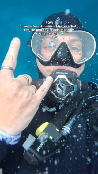 Wenn dein Leben auf einmal so aussieht 🤿 🐬 Im Meeresschutz und Tauchen Projekt in Südafrika oder Bali sammelt ihr Daten für Forschungsprojekte und helft beim Erhalt der Unterwasserwelt. Alle Infos zum Projekt auf unserer Website 👀

#freiwilligenarbeit #meeresschutz #tauchen