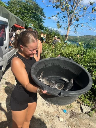 Kleiner throwback zu @melina.schambach Zeit auf Bali im Schildi Projekt 🌊🐢 

Wer hat auch Bock auf Freiwilligenarbeit auf Bali ?👇🏼
•
•
•
•
#volunteering #freiwilligenarbeit #volunteerabroad #bali #indonesien