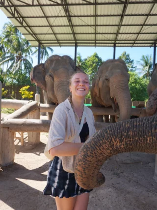 Im Elefantenprojekt in Thailand hilfst du dabei, Dickhäuter wieder aufzupäppeln, die alleine in der Wildnis so nicht überleben würden 🐘 von der Essenszubereitung übers Waschen und Spazierengehen seid ihr für die Dickhäuter zuständig 🌴 

Markiere jemanden, der schon immer mal mit Elefanten arbeiten wollte 👇🏼

#elephantsanctuary #freiwilligenarbeit #volunteering #thailand #volunteer