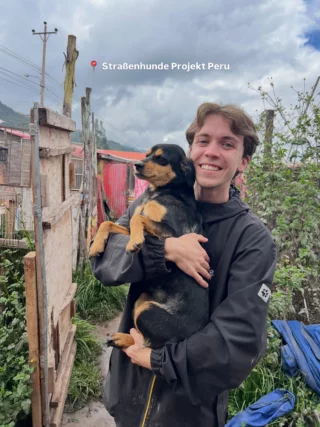 Im Straßenhunde Projekt Peru hilfst du dabei, Straßenhunde zu retten 🐕 . Im Projekt leben ca. 100 Hunde, die dringend deine Zuneigung und Unterstützung brauchen. Du hilfst mit, die Hunde zu füttern, die Gehege sauber zu machen und die Rettungsstation instand zu halten.

Natürlich ist aber auch ganz viel spielen und toben mit den Hunden angesagt! Auch bei Marketing- und Spendenaktionen und bei der Aufklärung der einheimischen Bevölkerung über die Problematik der Straßenhunde ist deine Unterstützung gefragt. Das Projekt ist auch für Tiermediziner*innen und Student*innen geeignet. In diesem Falle liegt der Fokus auf der Rehabilitierung von traumatisierten Hunden.

Schicke den Beitrag an jemanden, der Hund über alles liebt ✌🏼

#straßenhunde #streetdog #peru #volunteering #freiwilligenarbeit